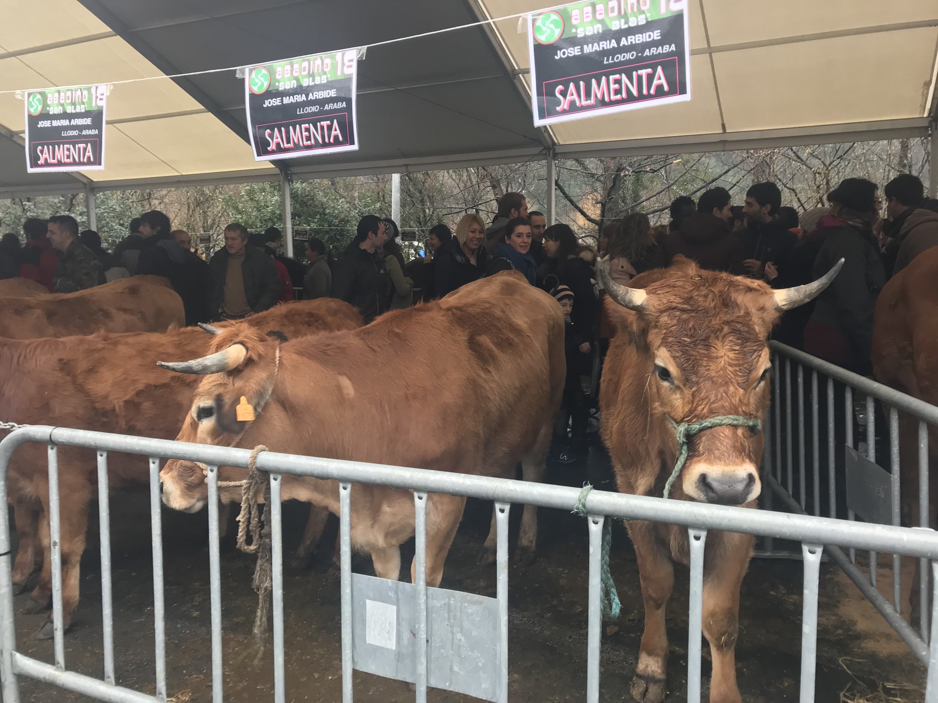 San Blas egunean azokaren "bidegabekeria" salatu eta animaliak babestuko ditu Durangaldea Antiespezista taldeak