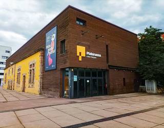 Eguzki-plakak ipiniko dituzte Platerueneko teilatuan