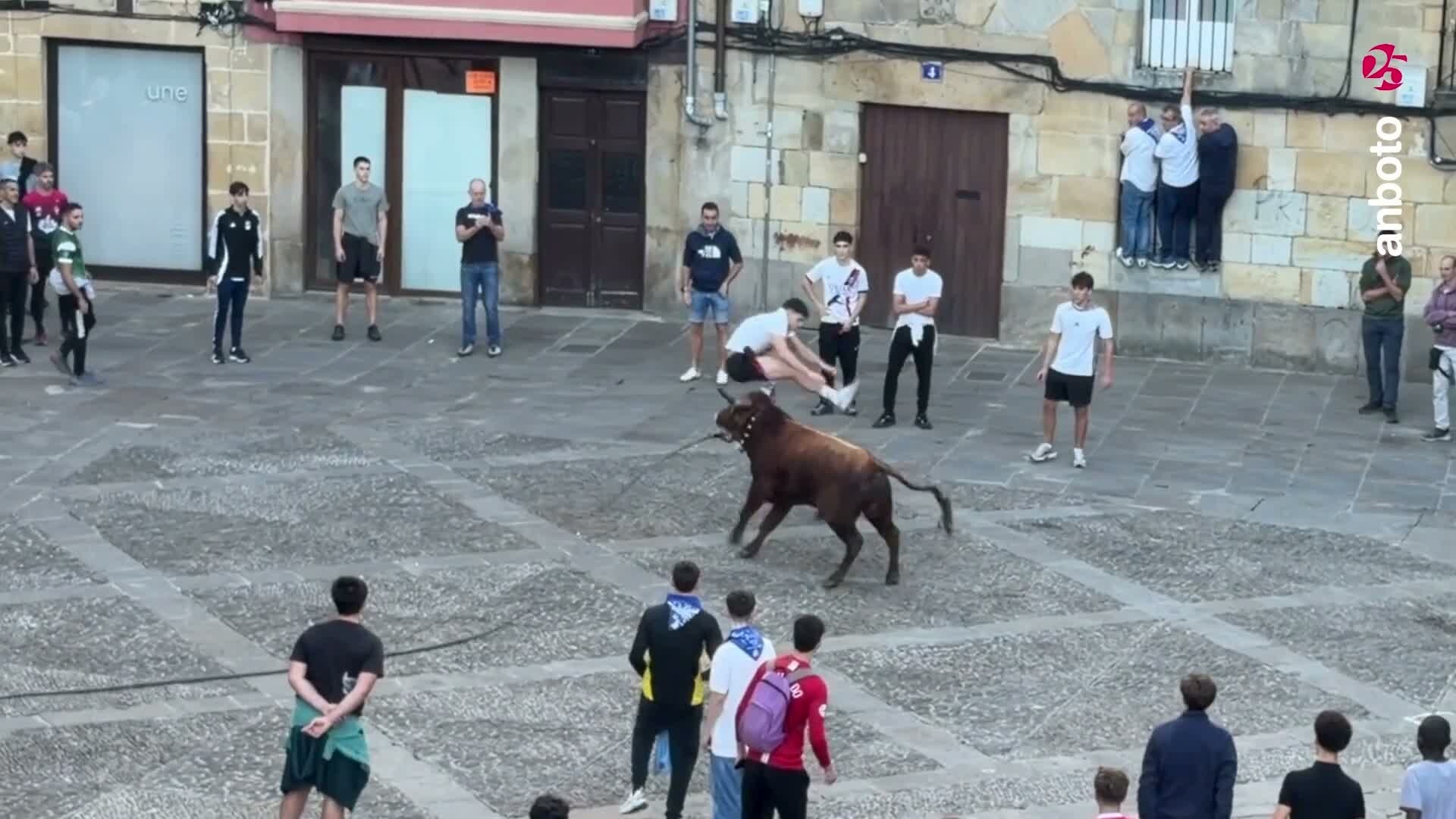 [BIDEOA]: Hiru zauritu San Fausto eguneko Zezenak Diran