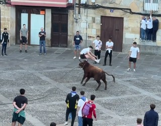 [BIDEOA]: Hiru zauritu San Fausto eguneko Zezenak Diran