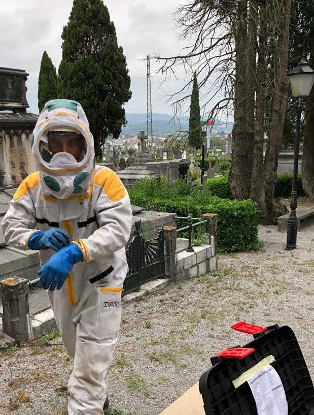Suhiltzaileek asiar liztorraren bi erlauntza kendu dituzte Durangoko hilerrian