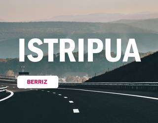Istripu bat dela eta, errei bat itxita egon da Zaldibar eta Berriz artean