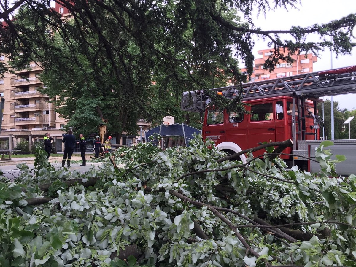 San Inazio auzuneko parkean jausitako arbola zatia erretiratu dute suhiltzaileek