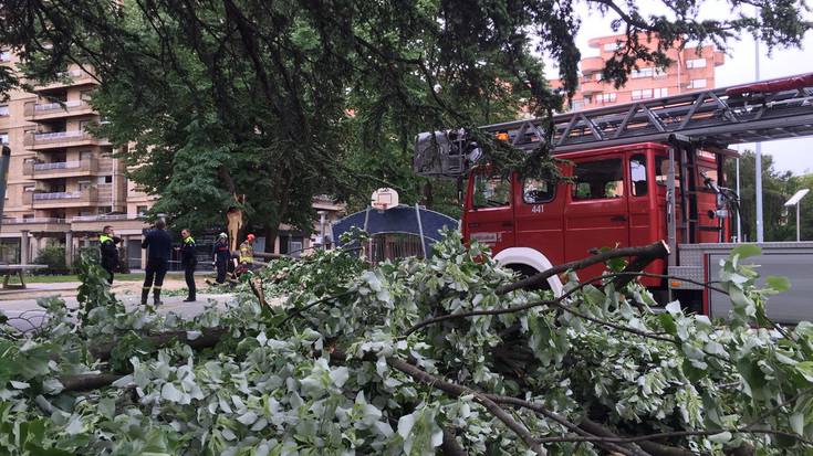 San Inazio auzuneko parkean jausitako arbola zatia erretiratu dute suhiltzaileek