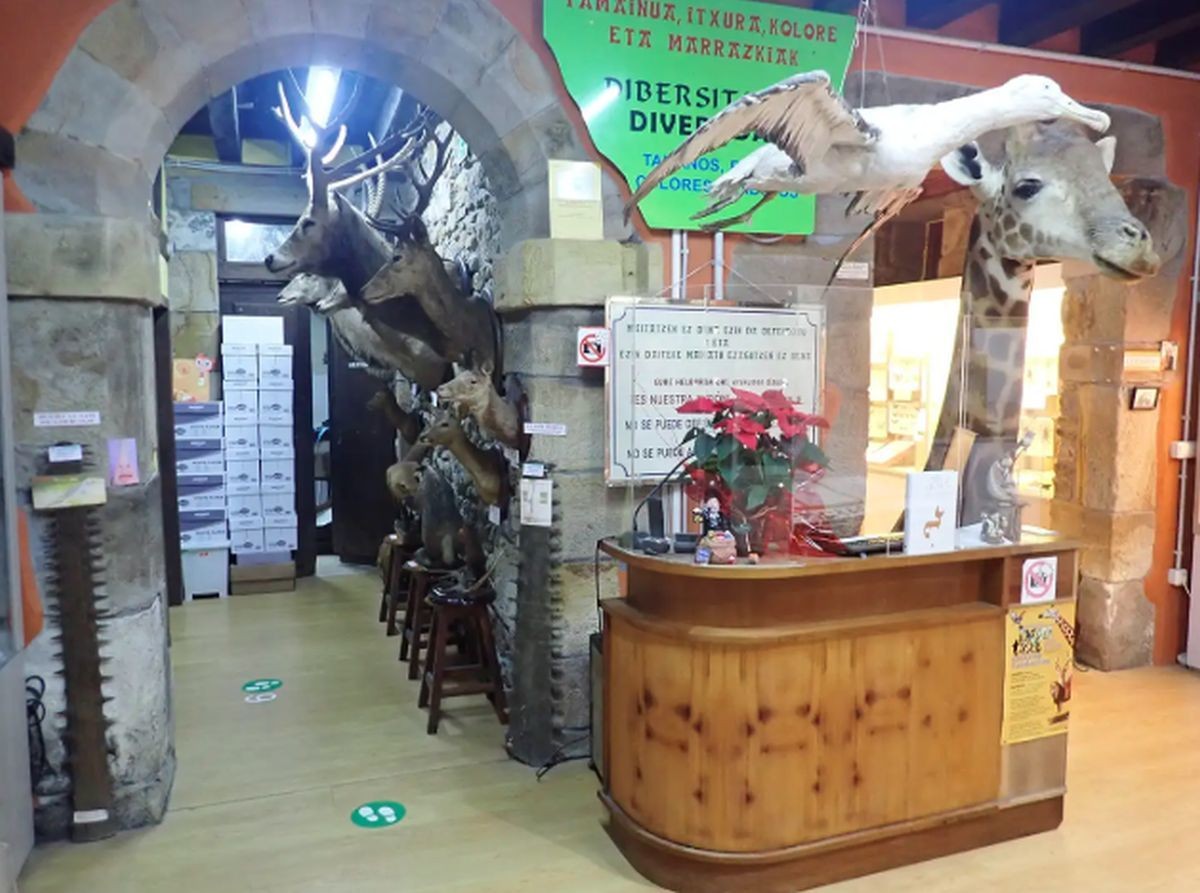 Berbaldia eta bisita gidatua Hontza Museoan, ondare jardunaldietan