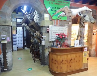 Berbaldia eta bisita gidatua Hontza Museoan, ondare jardunaldietan