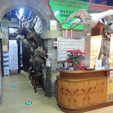 Berbaldia eta bisita gidatua Hontza Museoan, ondare jardunaldietan
