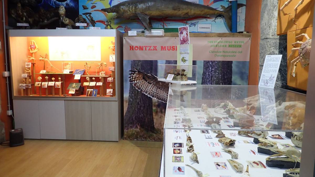 Garaiko nagusien irteera Mañariko Hontza museora