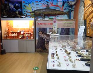 Garaiko nagusien irteera Mañariko Hontza museora