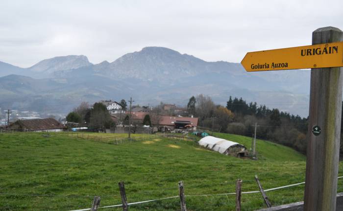 Goiuriako ur-hornidura sarea berriztatzeko 135.000 euro erabiliko ditu udalak 