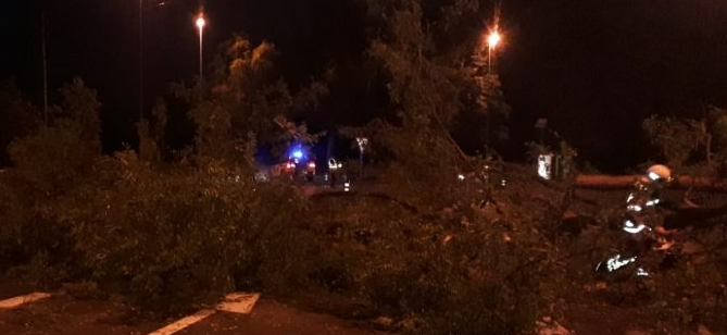 Metalgintzako grebalariek barrikadekin itxi dituzte Trabakua eta Kanpazarreko errepideak goizaldean