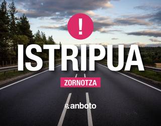 Pertsona bi zauritu dira Zornotzan izandako auto istripuan