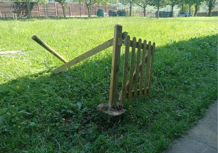 Iurretako Udalak Maiztegi herriko eskolan izandako ekintza bandalikoak gaitzetsi ditu