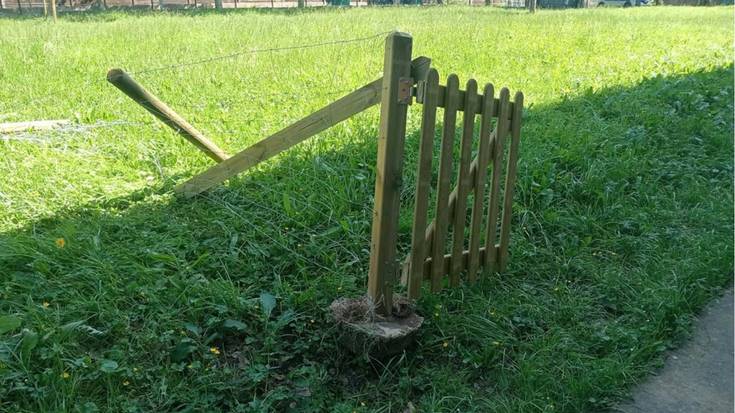 Iurretako Udalak Maiztegi herriko eskolan izandako ekintza bandalikoak gaitzetsi ditu