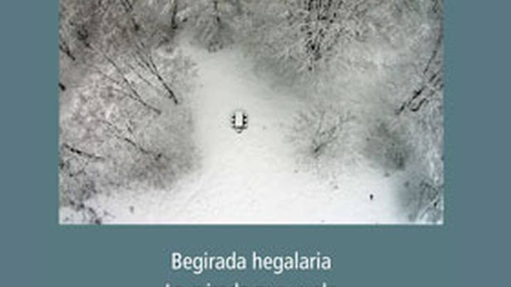 'Dronegrafiak: begirada hegalaria'